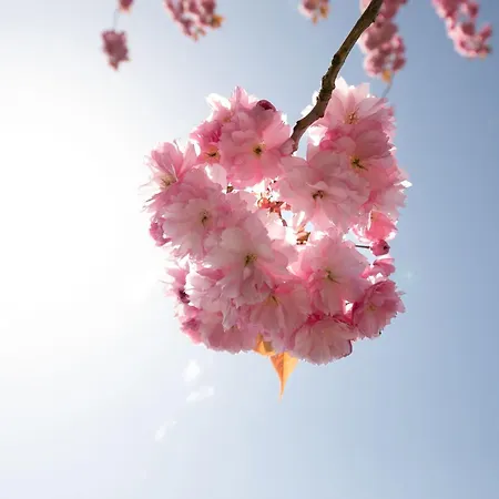 아파트 Haus An Der Duene 2