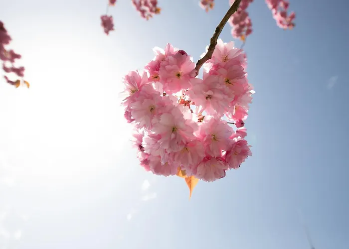 Appartamento Haus An Der Duene 2 *